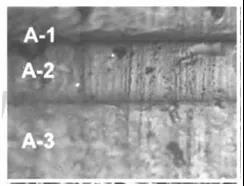 1573539365134038640.jpg 微信图片_20191112135028.jpg